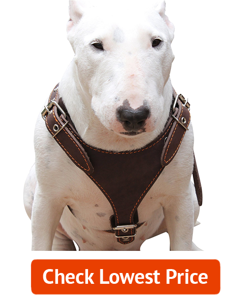 Dogs My Love Brown Genuine Leather Dog Harness, Medium.