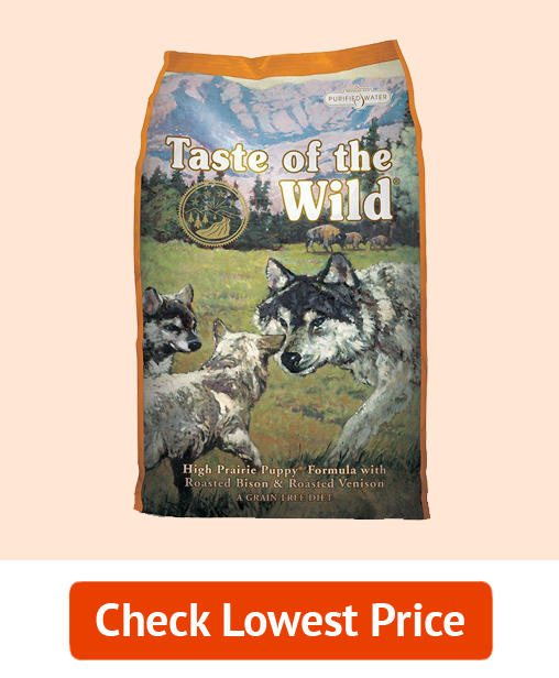 Taste of the Wild Dog Food 